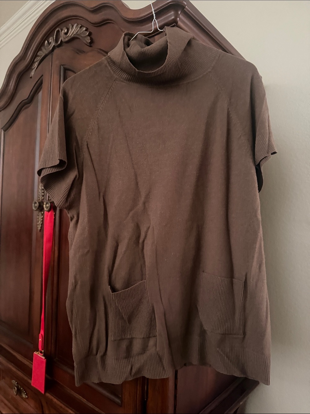 Women's Brown Turtleneck Short-Sleeve Sweater